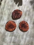 Olive Wood Coaster Set of 4 - Elegant Botanicals